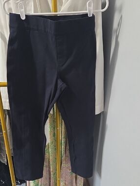 SPANX Navy Ponte Ankle Pants